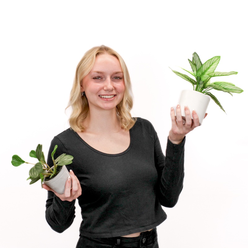 A person with blonde hair in a black shirt holds two potted plants with green leaves against a white background.